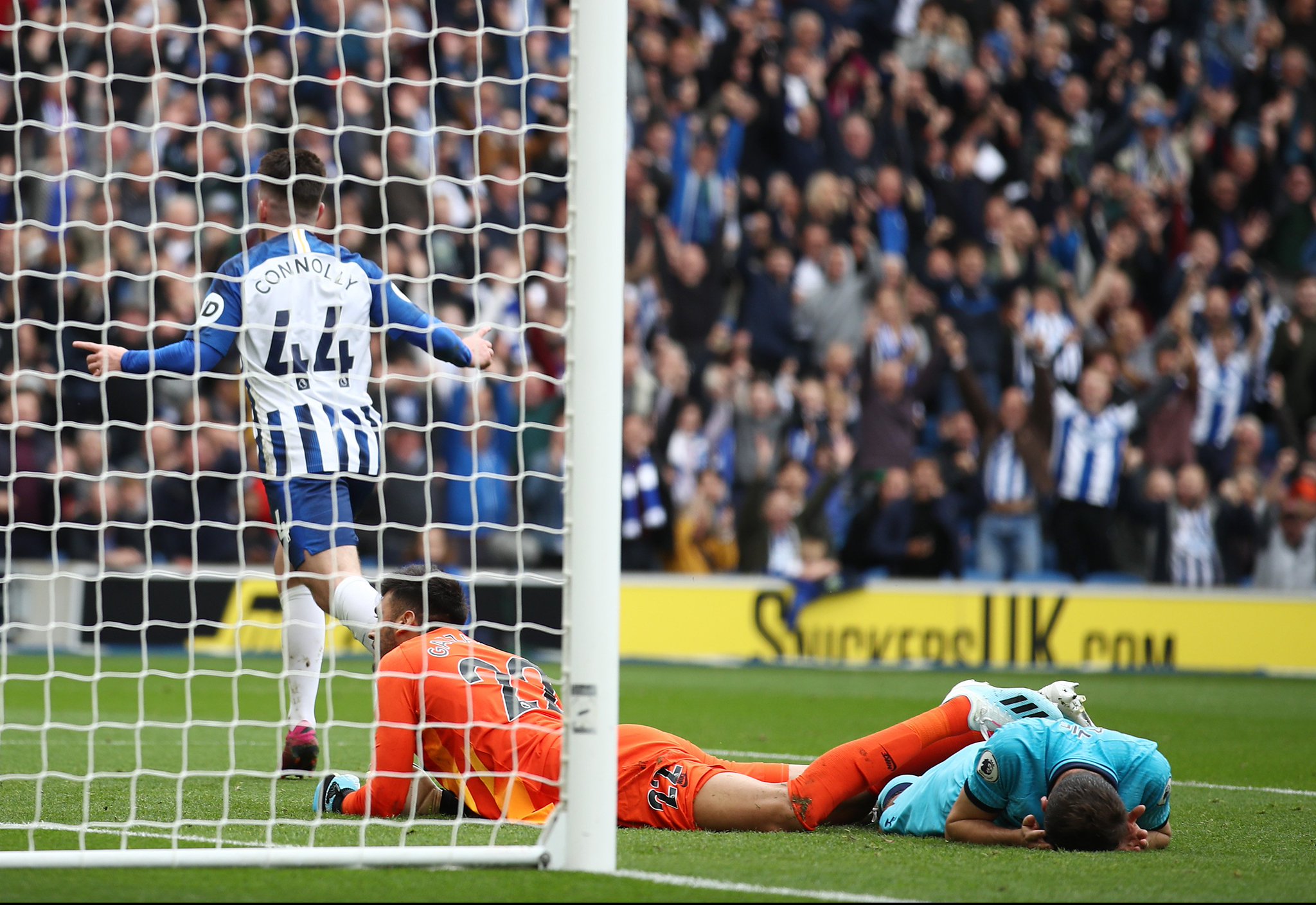 定性无疑加 定性无疑加