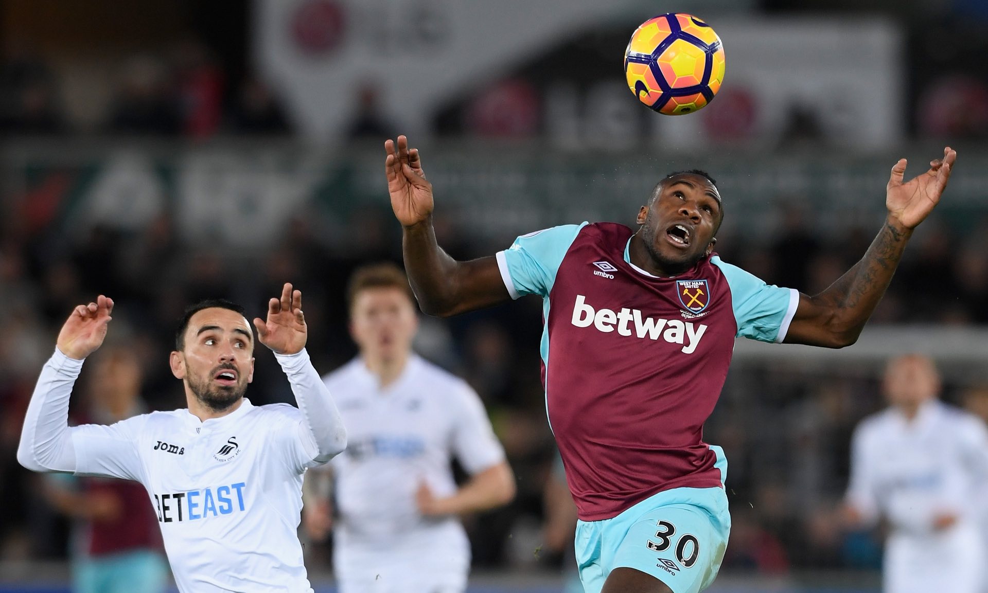 和适应性 和适应性